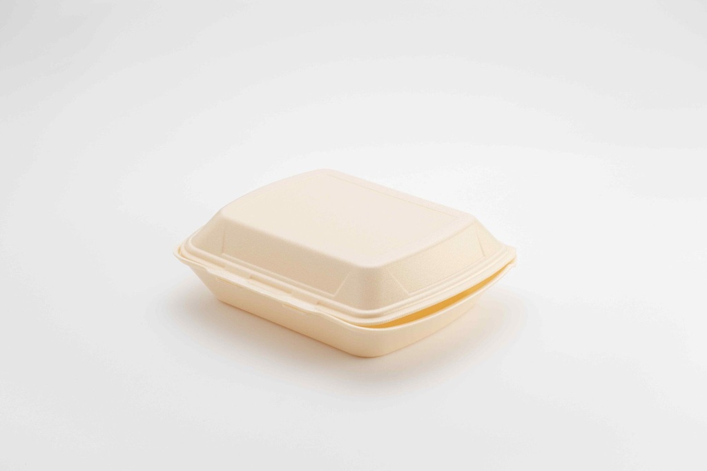 Boîte à menu 1 compartiment IP4/HP4 XPS champagne