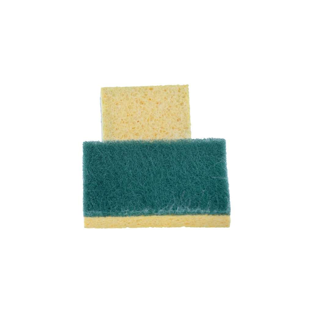 Nicols Brix Avec Eponge 74