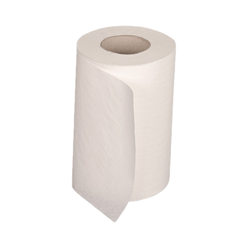 Rouleau essuie-tout MINI cellulose 1 plis 20cm 12x120m