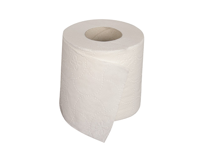 Papier toilette cellulose 2 plis 170 coupons 4x12