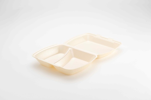 Menubox 2 compartimenten IP4/HP4 XPS champagne 245x210x72mm 